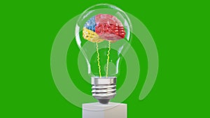 Colorful 3d brain rotating inside a lightbulb, great mind concept, loop, Green Screen Chromakey