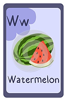 Colorful abc education flash card, Letter W - watermelon, summer big berry.