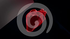 Colorful abstract 3d model of beating human`s heart moving on a dark background. Animation. Anatomy of human