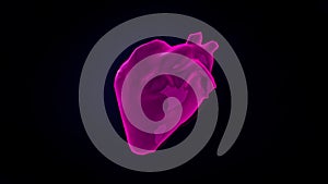 Colorful abstract 3d model of beating human`s heart moving on a dark background. Animation. Anatomy of human