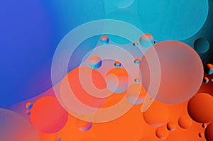 Colorful abstract background. Blue orange purple pink and red circles and oil bubbles in the water. Close up. Macro abstraction.