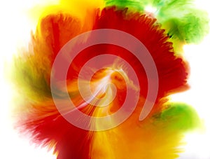 Colorful abstract background of flower concept, red green and yellow