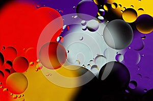 Colorful abstract background. Red purple yellow white black circles and oil bubbles in the water. Close up. Macro abstraction.