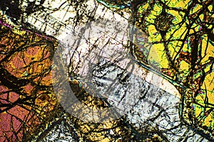 Colorful, abstract pattern of mineral in a polarizing micrograph.