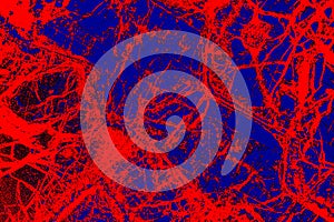 Colorful, abstract pattern of mineral in a polarizing micrograph.