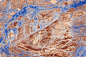 Colorful, abstract pattern of mineral in a polarizing micrograph.