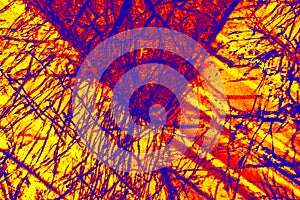 Colorful, abstract pattern of mineral in a polarizing micrograph.