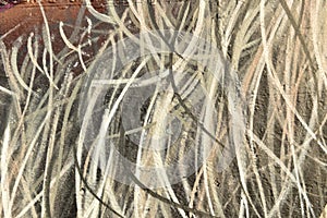 Colorful abstract patterns on a wall photo
