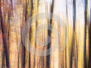 Colorful abstract texture background. Forest scene with motion blure effect
