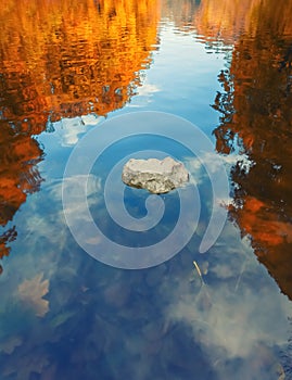 Colorful abstract view of the reflection of a tree on the ripples of the water surface