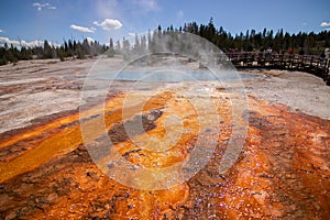 Colorful Abyss Pool in West Thumb Geyser Basin in Yellowstone National Park. Bacteria mats form in hot water runoff
