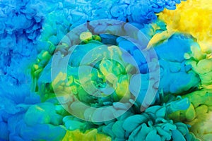 Colorful acrylic ink in water isolated. Abstract background. Color explosion
