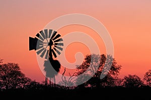 African sunset in the Kruger National Park, South Africa