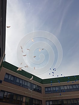 Colorful air balloons is flying over the scool photo