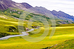 Colorful Alaskan stream and valley