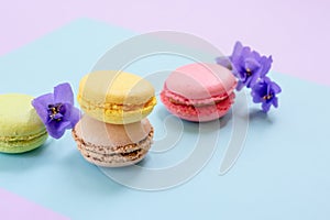 Colorful almond macarons with purple little flowers