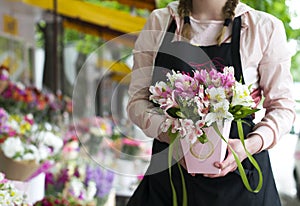 Colorful Alstroemeria flowers. A large bouquet of multi-colored alstroemerias in the flower shop are sold in the form of a gift bo