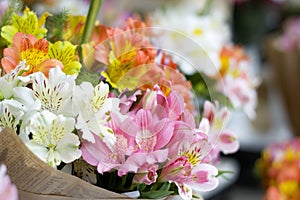 Colorful Alstroemeria flowers. A large bouquet of multi-colored alstroemerias in the flower shop are sold in the form of a gift bo