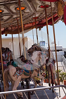 Colorful animal carousel carnival ride