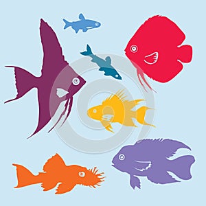Colorful Aquarium Fish Silhouettes Set