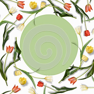 Colorful arrangement Frame of tulips flowers with blank place in the center for your text on a white background. Flat