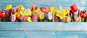 Colorful arrangement of fresh spring flowers