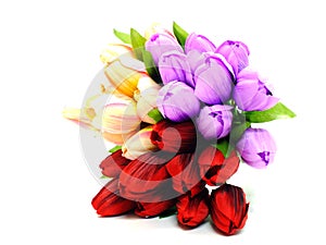 Colorful of artificial tulip flowers bouquet on white background