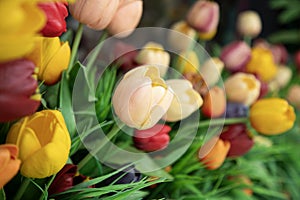 Colorful artificial tulips background