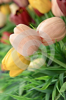 Colorful artificial tulips background. Vertical shot , close up