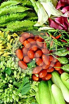 Colorful Asian Vegetables.