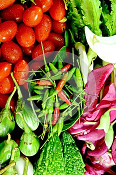 Colorful Asian Vegetables.