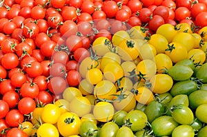 Colorful assorted tomatoes