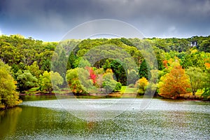 Colorful Australian autumn in Mount Lofty