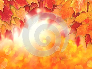 Colorful autumn background. Fall leaves and abstract sun light