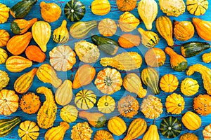 Colorful autumn background of ornamental gourds