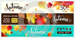 Colorful autumn banner set. Fall sale background with bright maple leaves