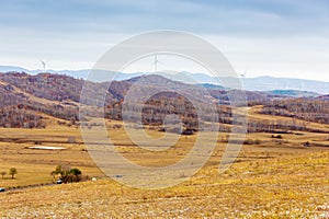 Colorful autumn in Bashang grassland