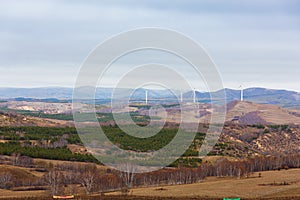 Colorful autumn in Bashang grassland