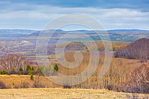 Colorful autumn in Bashang grassland