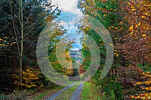 The colorful autumn in Black Forest, Schwarzwald, Germany