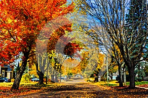 Colorful Autumn in Canada