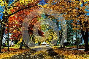 Colorful Autumn in Canada