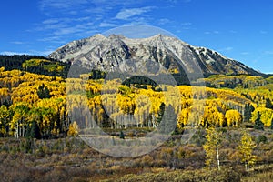 Colorful Autumn Colors on Kebler Pass Near Crested Butte, Colorado