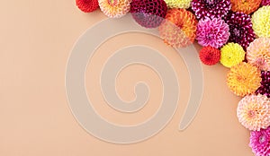 Colorful autumn dahlia flowers on pastel table with copy space for your text top view and flat style. Banner format