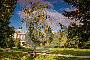 Colorful autumn day in the park. Topolcianky - Nice castle in Slovakia