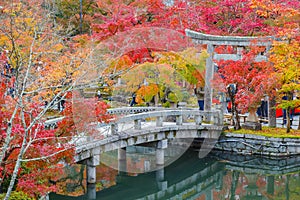 Colorful Autumn at Eikando Zenrinji Temple in Kyoto