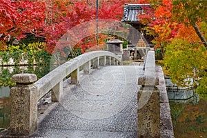 Colorful Autumn at Eikando Zenrinji Temple in Kyoto