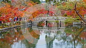 Colorful Autumn at Eikando Zenrinji Temple in Kyoto, Japan