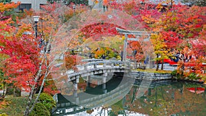 Colorful Autumn at Eikando Zenrinji Temple in Kyoto, Japan