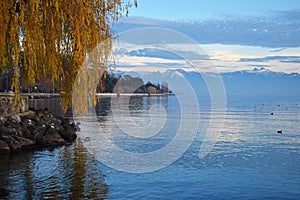 Colorful autumn at embankment on Lake Geneva in Lausanne , Switzerland